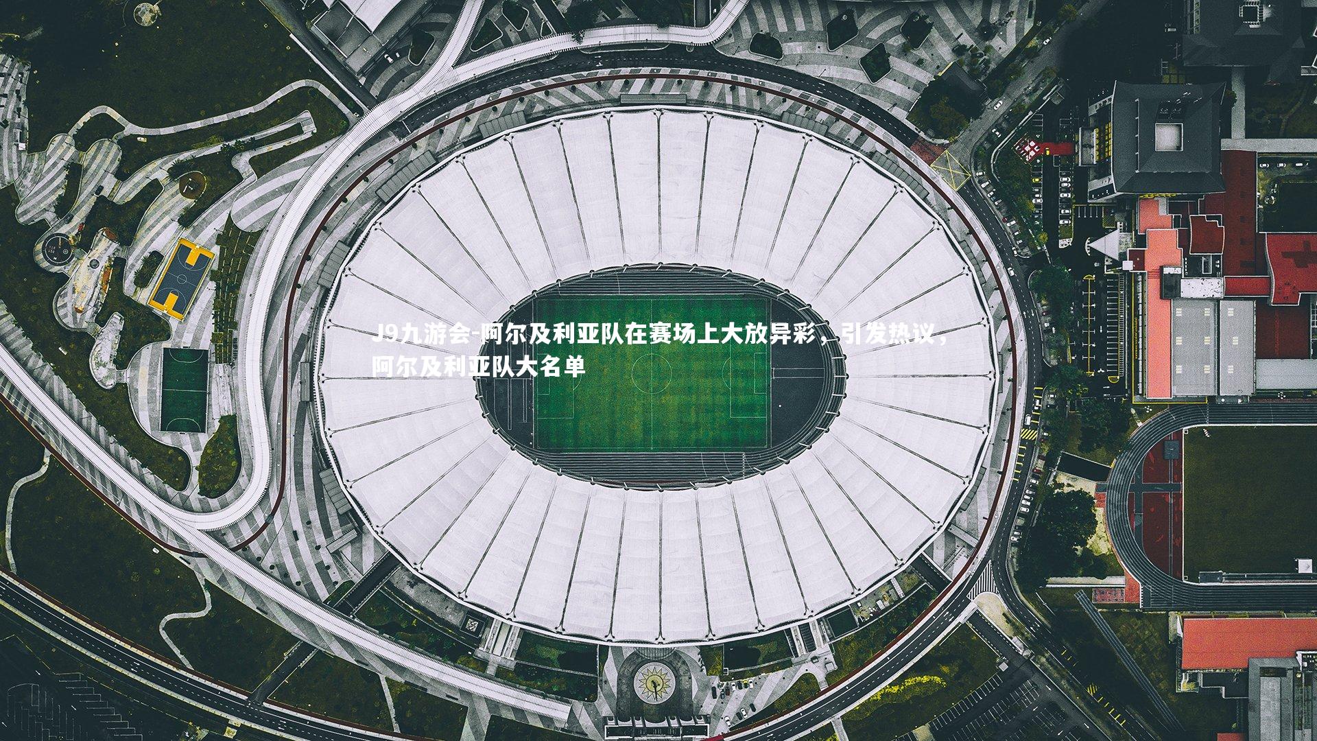 阿尔及利亚队在赛场上大放异彩，引发热议，阿尔及利亚队大名单