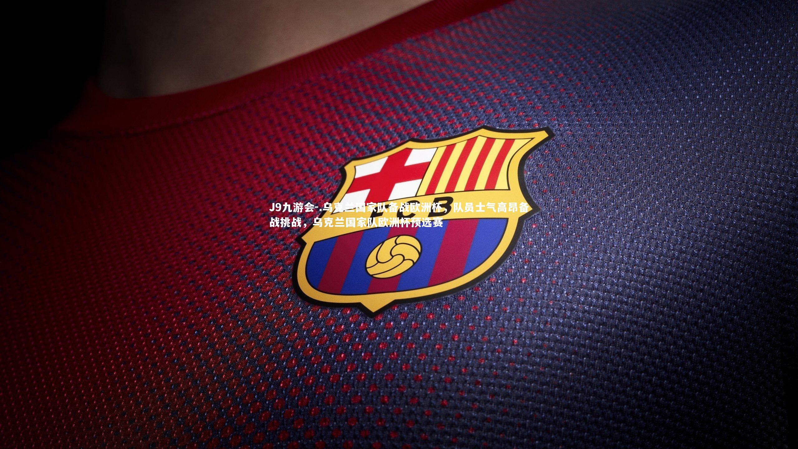 .乌克兰国家队备战欧洲杯，队员士气高昂备战挑战，乌克兰国家队欧洲杯预选赛